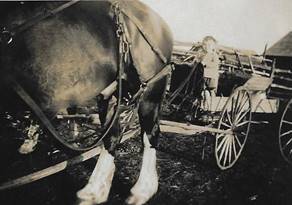 A horse pulling a cart

Description automatically generated with medium confidence