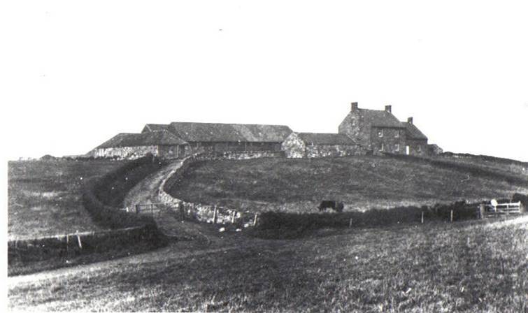 A black and white photo of a house on a hill

Description automatically generated with medium confidence