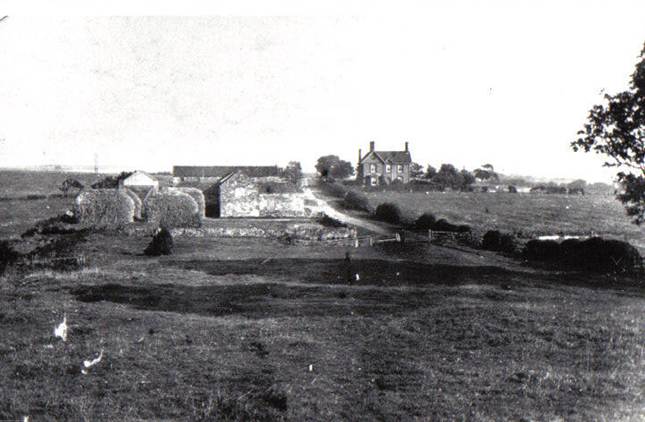 A black and white photo of a house and some trees

Description automatically generated with low confidence