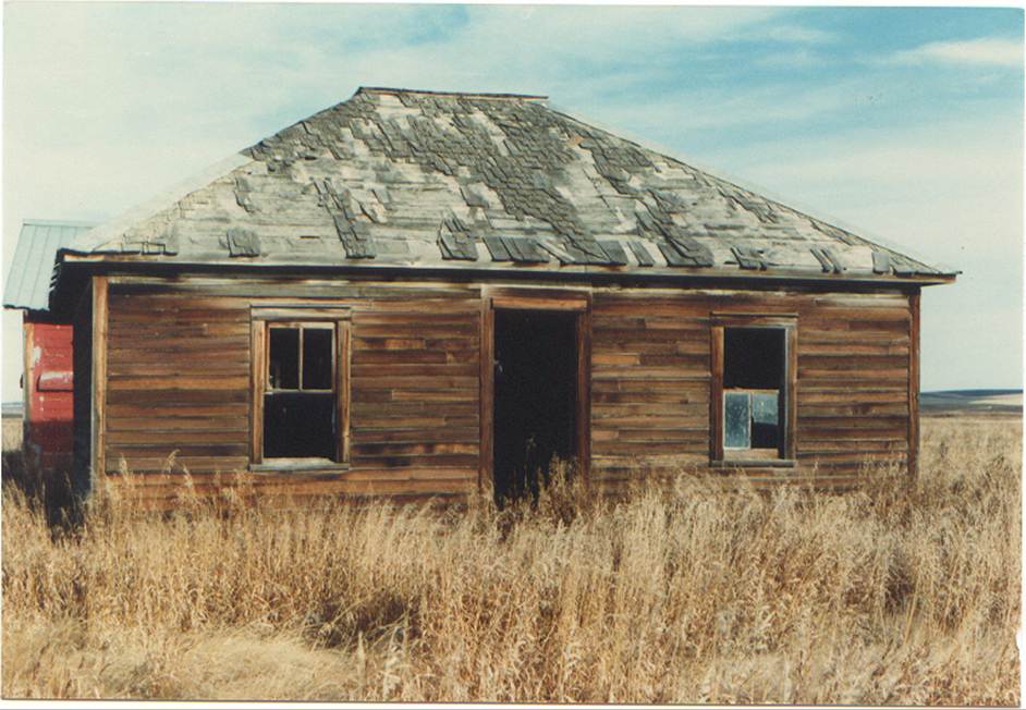A wooden house in a field

Description automatically generated
