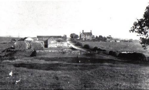 A black and white photo of a house and some trees

Description automatically generated with low confidence