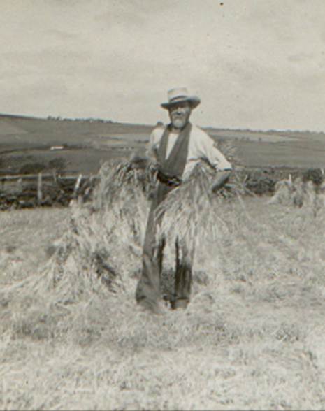 A person standing in a field holding a bundle of hay

Description automatically generated