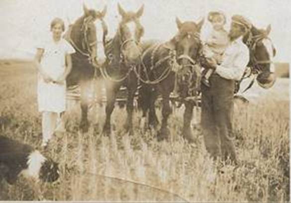A group of people standing next to horses

Description automatically generated with low confidence