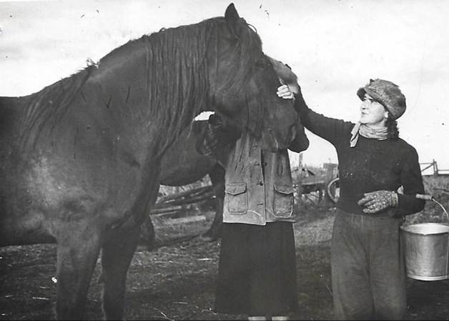 A horse and a person

Description automatically generated with medium confidence