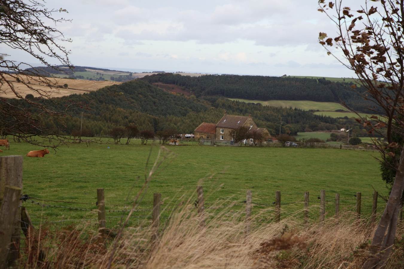 A field with a house in the distance
Description automatically generated